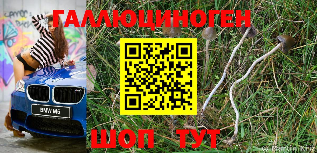 Псилоцибиновые грибы ЛСД Ипатово